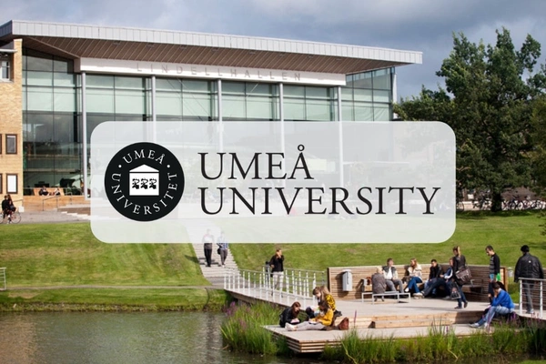 Postdoc Fellowships at Umeå University, Sweden for PhDs in Distributed Systems - Flow Card Image