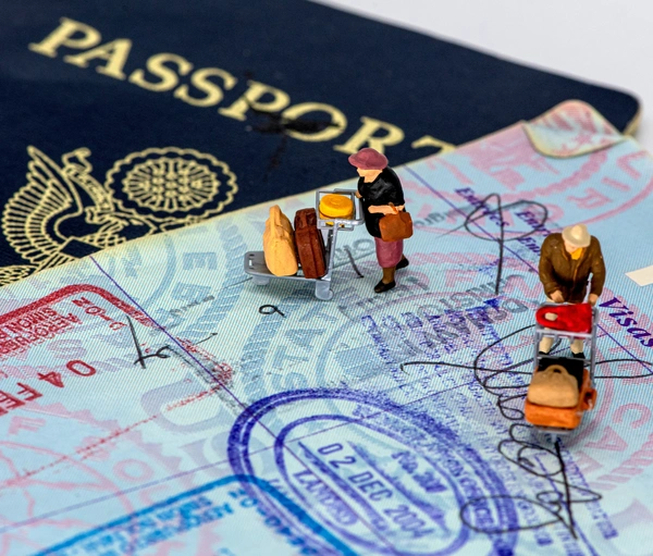 "Ellis: Helping Tech Professionals Navigate Immigration Challenges" - Flow Card Image